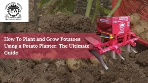Read more about the article How To Plant and Grow Potatoes Using a Potato Planter: The Ultimate Guide